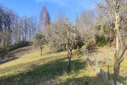 Vente maison de ville Egletons  