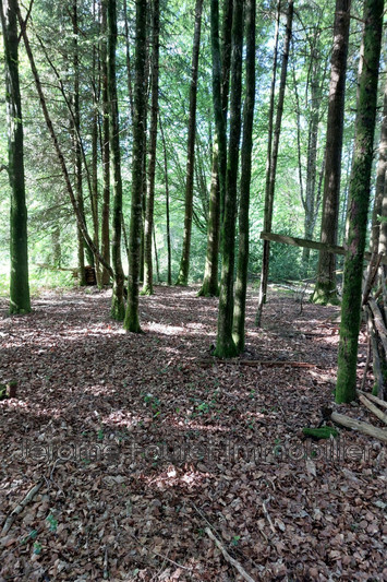 Vente terrain à bâtir Marcillac-la-Croisille  