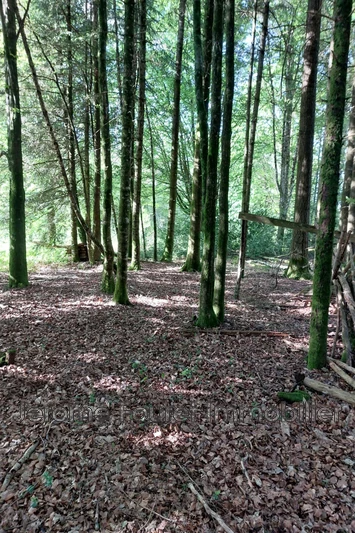 Vente terrain à bâtir Marcillac-la-Croisille  
