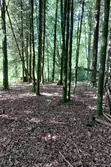 Vente terrain à bâtir Marcillac-la-Croisille  