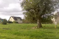 Vente terrain Egletons  