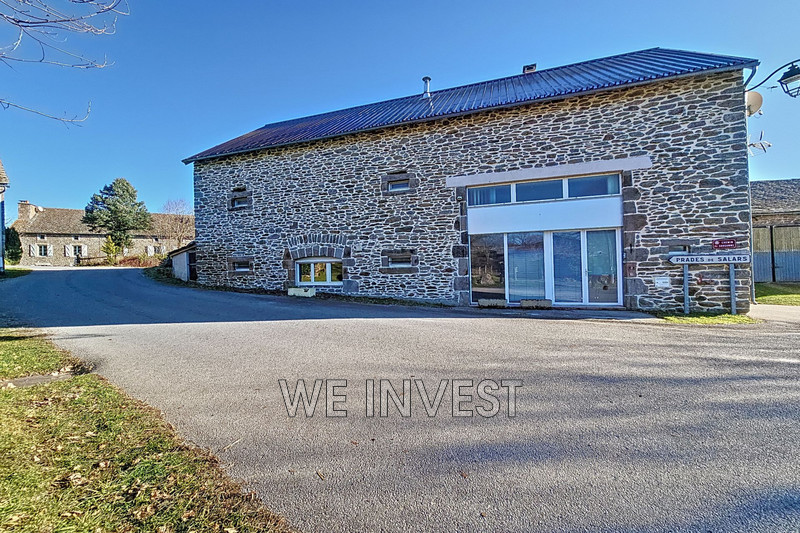Vente maison Salles-Curan  