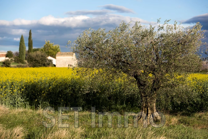Vente maison Collias  