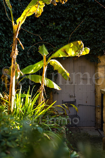 Vente demeure de prestige Uzès  
