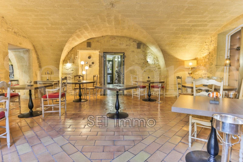 Vente demeure de prestige Uzès  