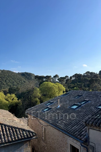 Vente maison Collias  