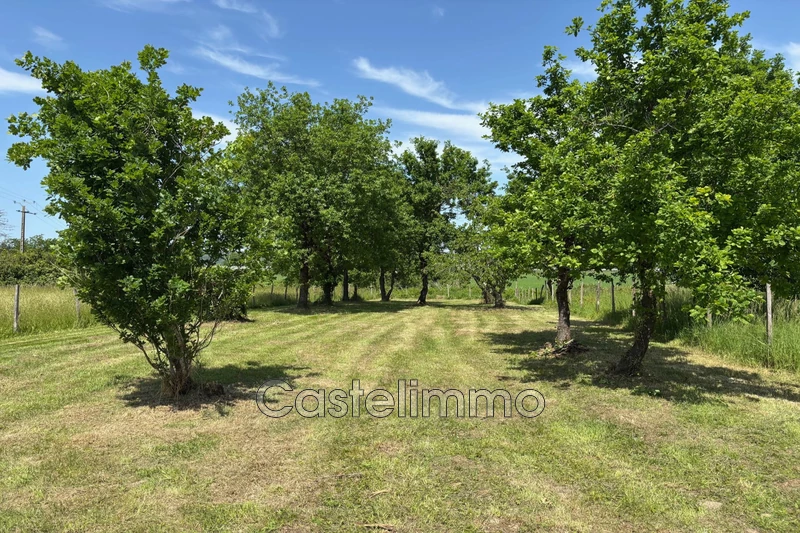 Vente maison Saint-Nicolas-de-la-Grave  