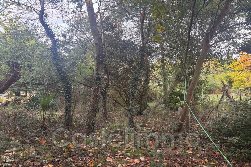 Vente maison Saint-Nicolas-de-la-Grave Vente maison Saint-Nicolas-de-la-Grave