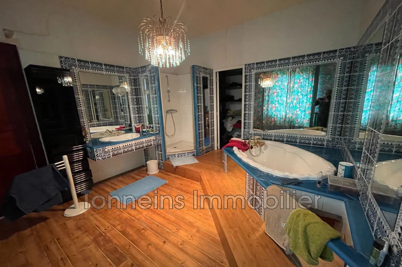 Vente manoir Tonneins  