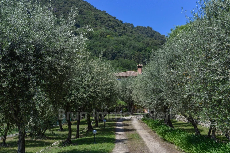 Vente maison Grasse  
