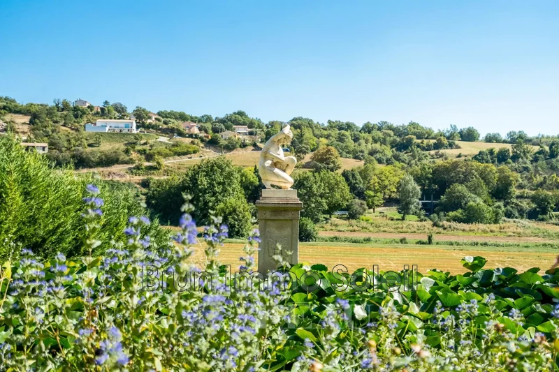 Vente château Valensole  