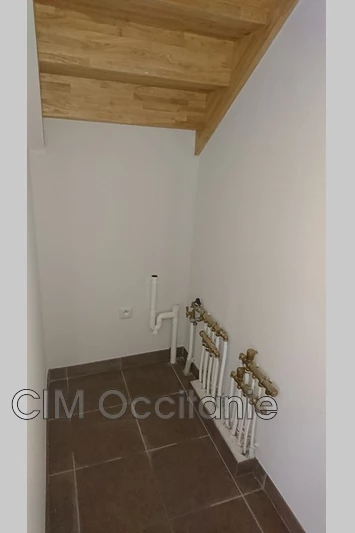 Location villa Castelginest  