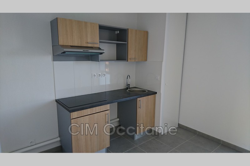 Location appartement Villeneuve-Tolosane  