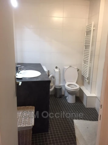 Location appartement Toulouse  