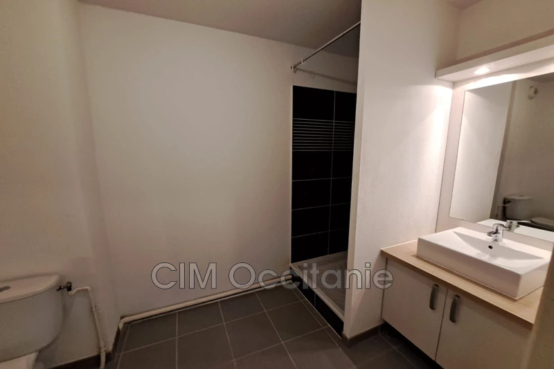 Location appartement Tournefeuille  