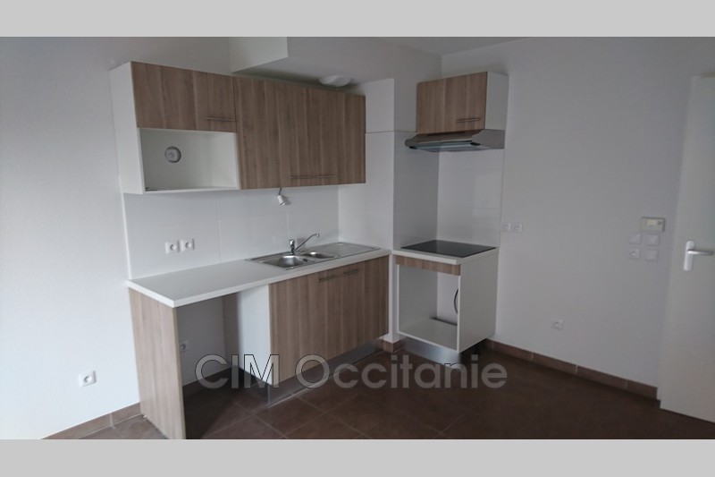 Location villa Castelginest  