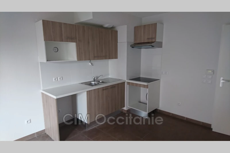 Location villa Castelginest  