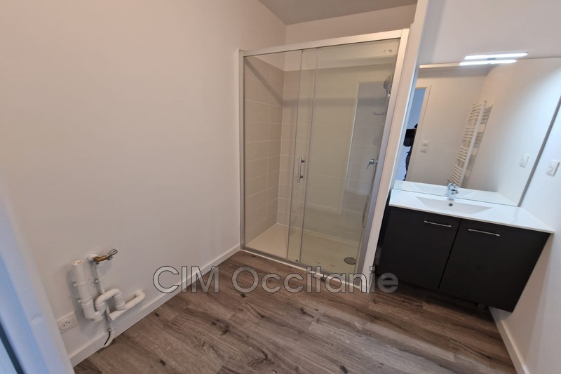 Location appartement Cornebarrieu  
