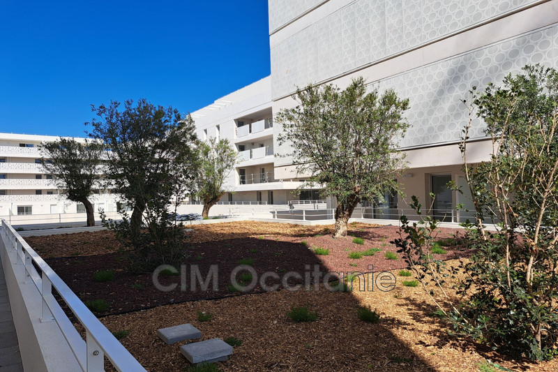 Location appartement Montpellier  