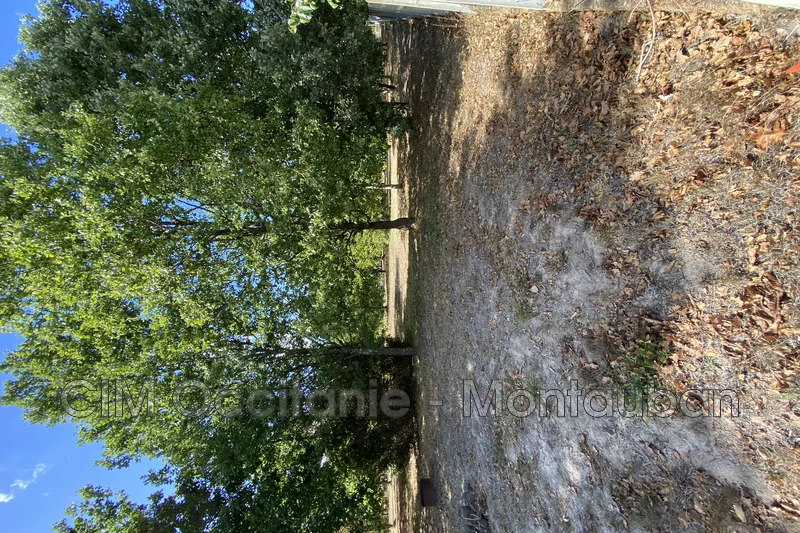 Vente terrain Nègrepelisse  