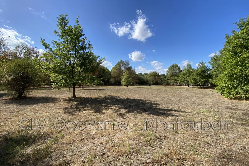 Vente terrain Nègrepelisse  