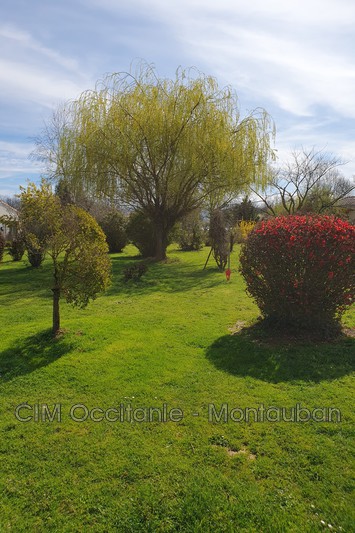 Vente terrain Saint-Etienne-de-Tulmont  