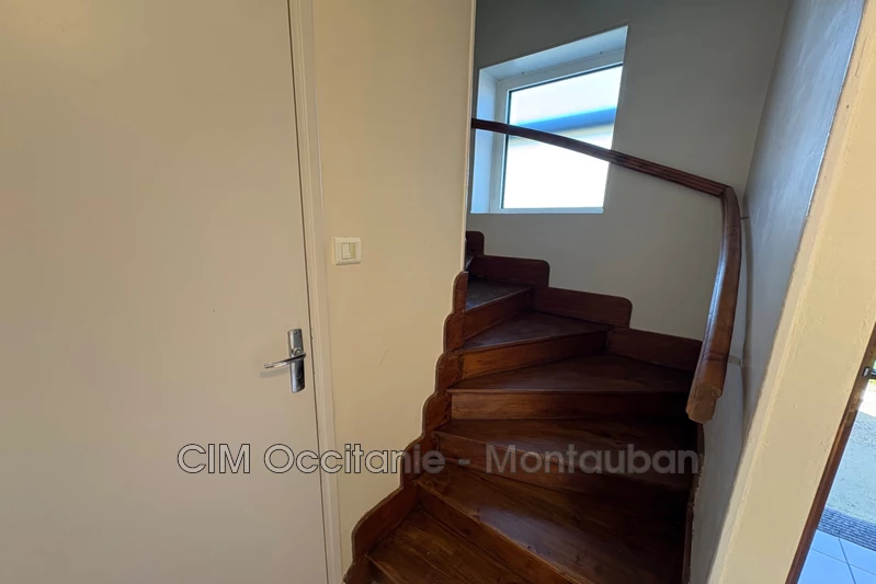 Location maison Montauban  