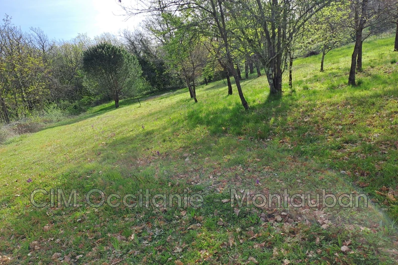 Vente terrain Saint-Etienne-de-Tulmont  