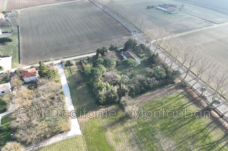 Vente terrain Gardouch  