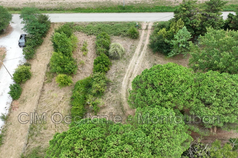 Vente terrain Montgaillard-Lauragais  