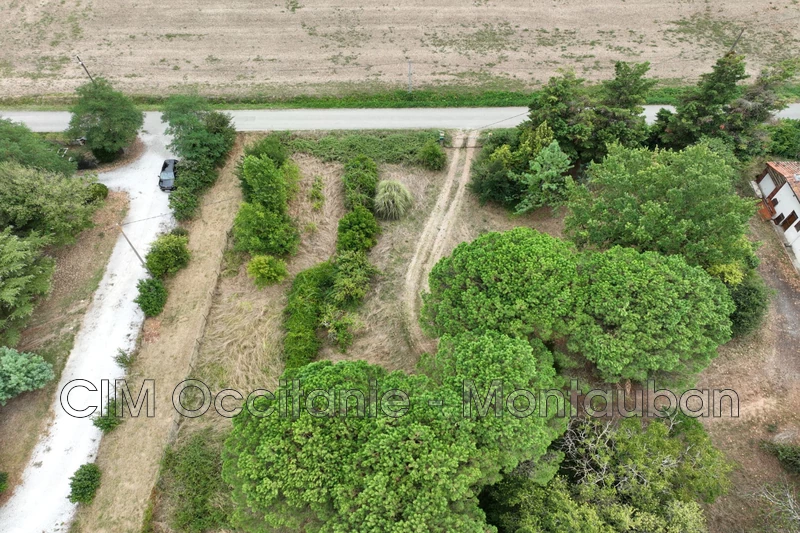 Vente terrain Montgaillard-Lauragais  