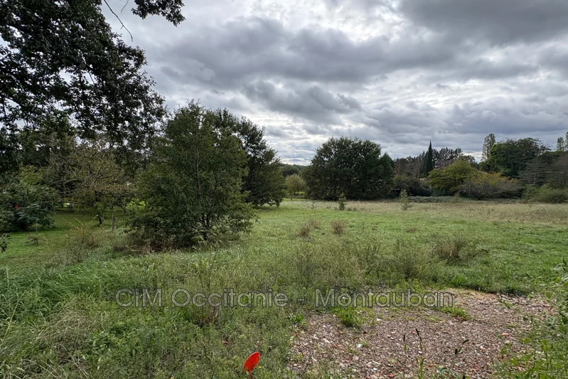 Vente terrain La Salvetat-Belmontet  