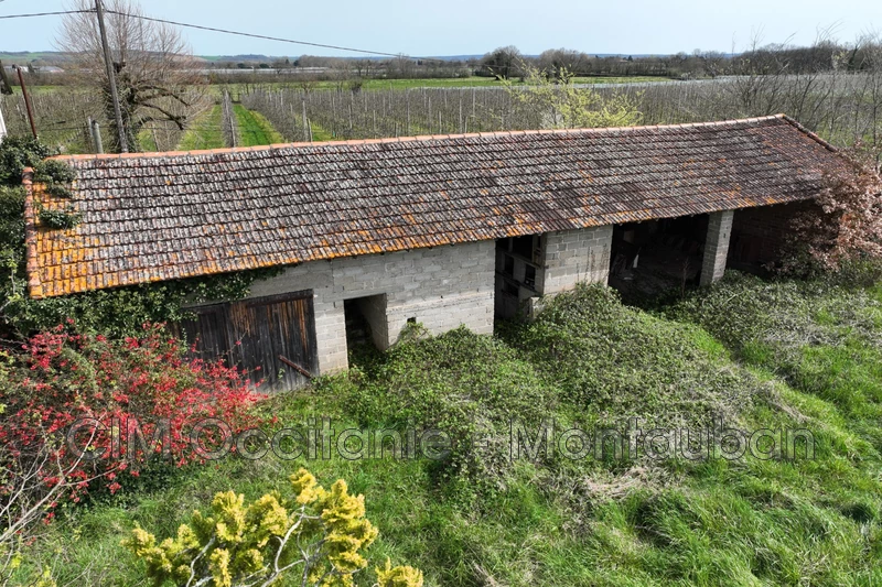 Vente maison Albias  