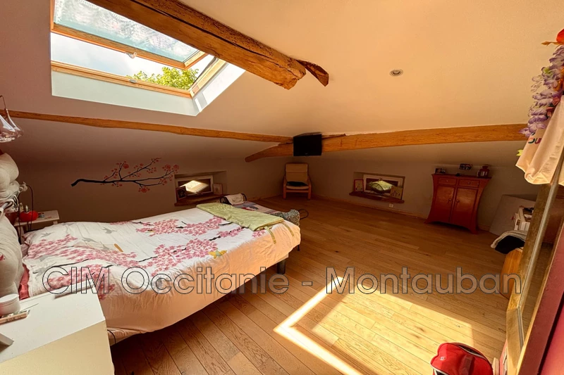 Vente Propriété équestre Lacourt-Saint-Pierre  