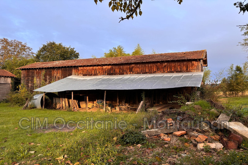 Vente ferme Saint-Nauphary  