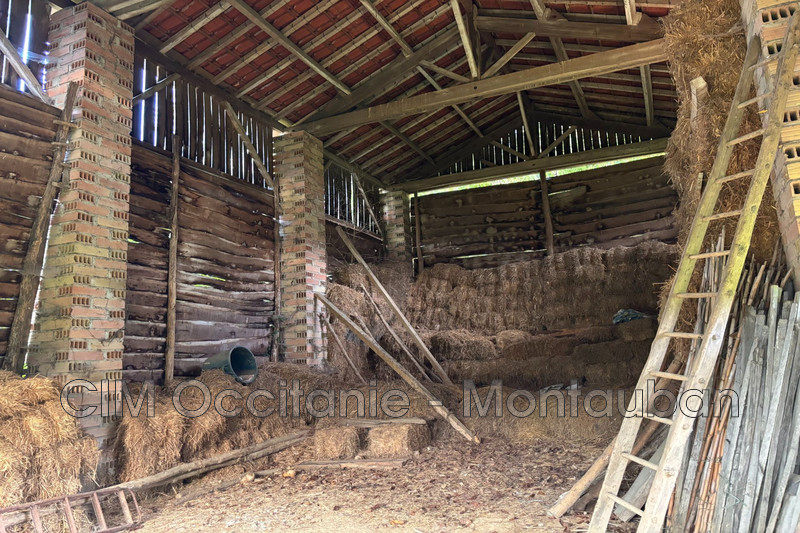 Vente ferme Saint-Nauphary  