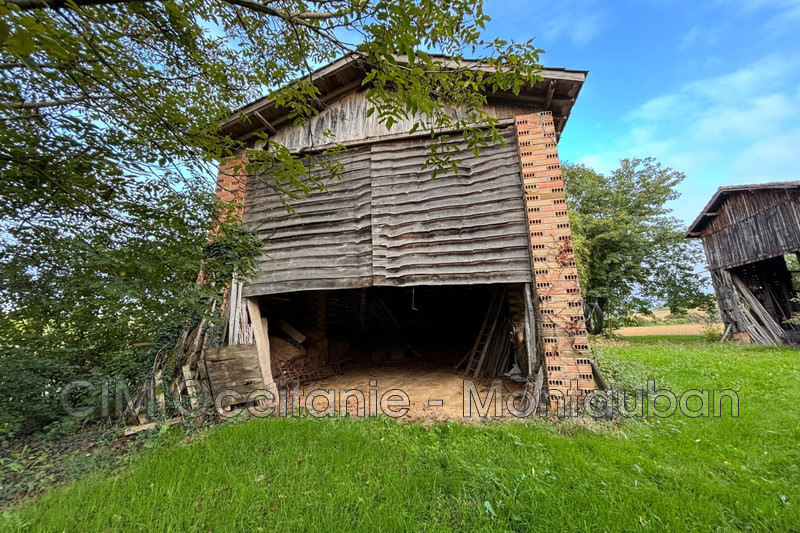 Vente ferme Saint-Nauphary  