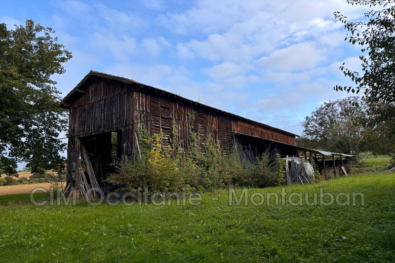 Vente ferme Saint-Nauphary  