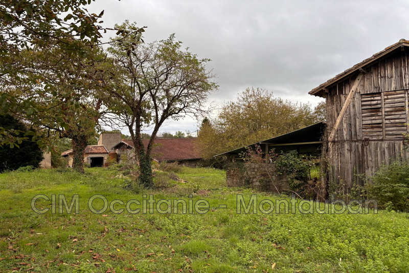 Vente ferme Saint-Nauphary  