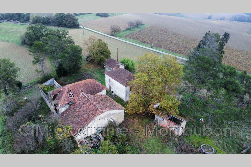 Vente maison de campagne Mouchan  