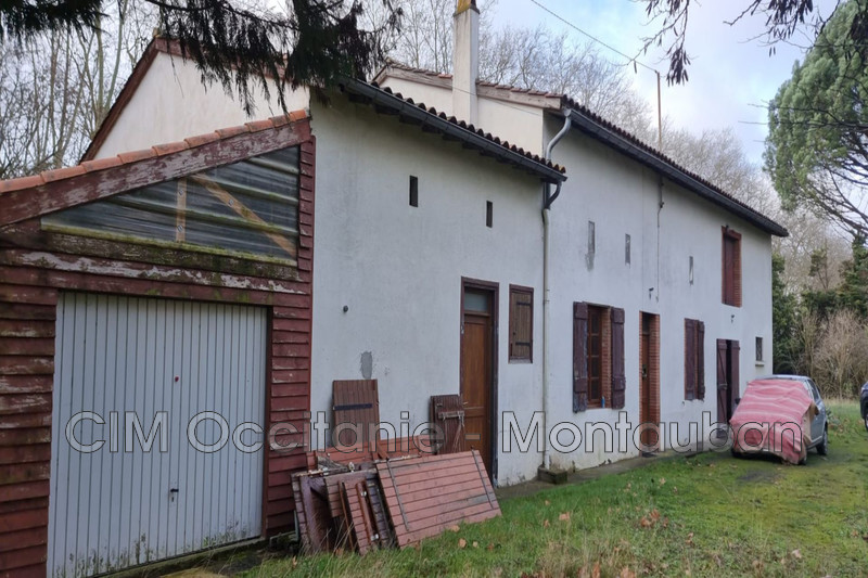 Vente maison Montgaillard-Lauragais  