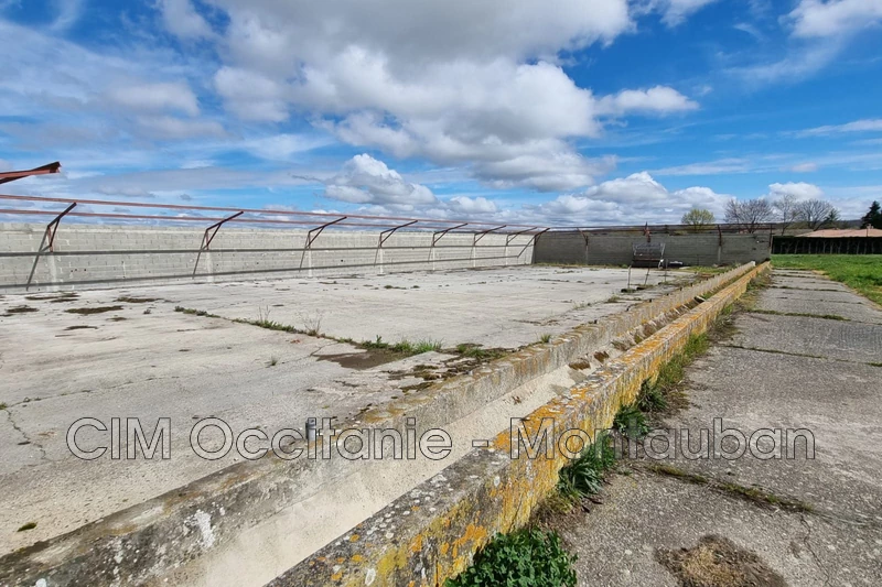 Vente hangar Lafitte  