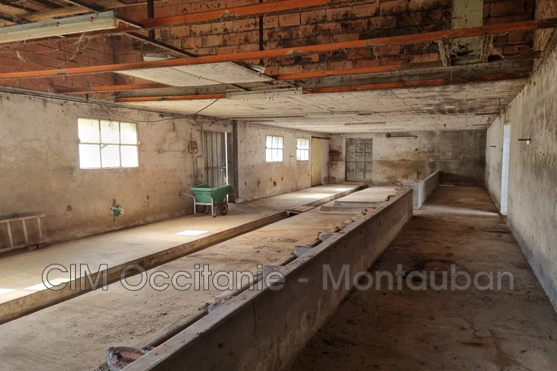 Vente hangar Lafitte  