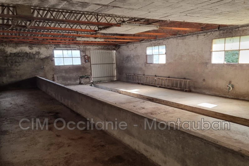 Vente hangar Lafitte  