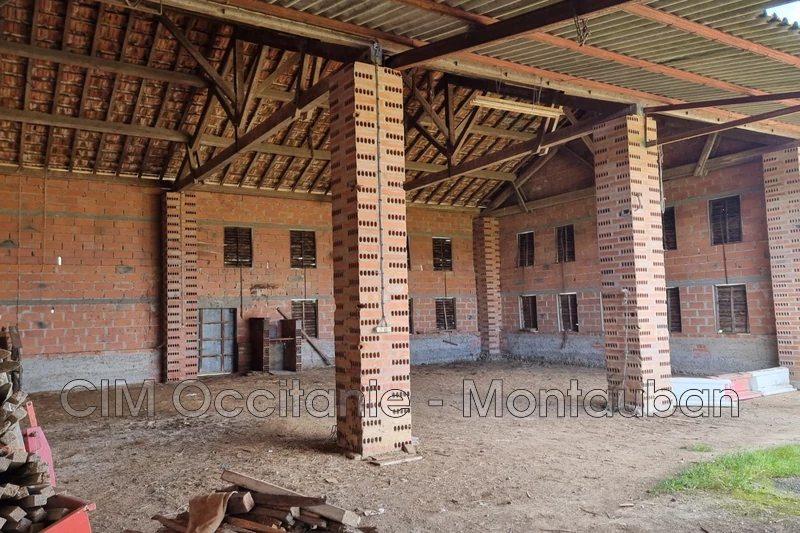 Vente hangar Lafitte  