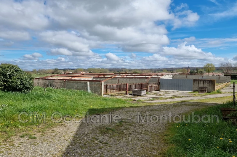Vente hangar Lafitte  