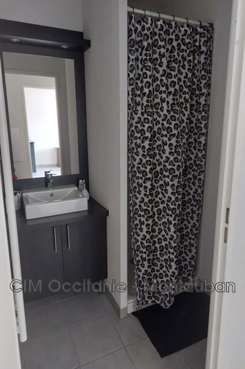 Vente appartement Saint-Alban  