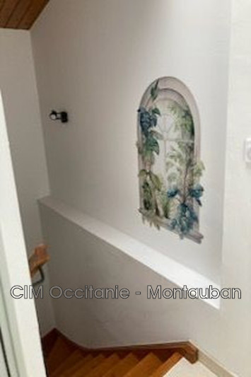 Vente maison Montesquieu-Lauragais  