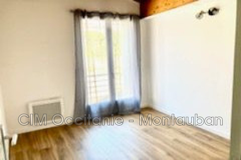 Vente maison Montesquieu-Lauragais  