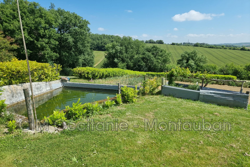 Vente Gîtes Sérignac  